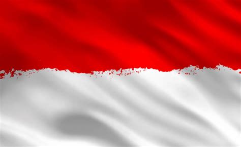 Putih Bendera Indonesia